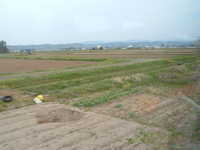  dscf0223.jpg 