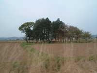  dscf0224.jpg 