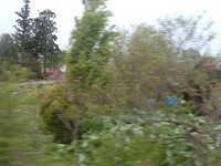  dscf0225.jpg 