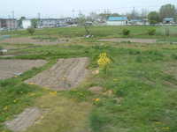  dscf0226.jpg 