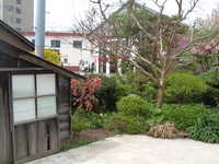  dscf0234.jpg 