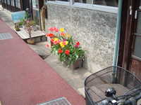  dscf0235.jpg 