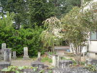  dscf0238.jpg 