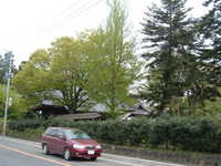  dscf0242.jpg 