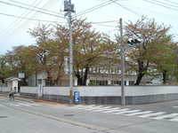  dscf0246.jpg 