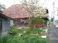  dscf0249.jpg 