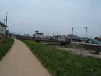  dscf0254.jpg 