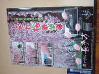  dscf0262.jpg 