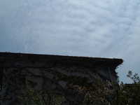  dscf0282.jpg 