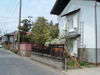  dscf0286.jpg 