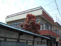  dscf0287.jpg 