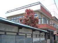  dscf0288.jpg 