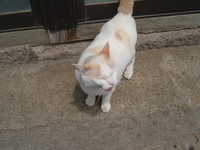  dscf0291.jpg 