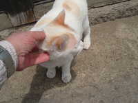  dscf0292.jpg 