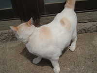  dscf0293.jpg 