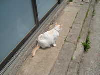  dscf0295.jpg 