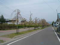  dscf0296.jpg 