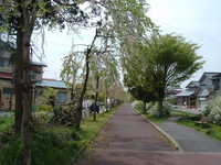  dscf0301.jpg 