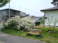  dscf0302.jpg 