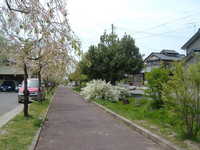  dscf0303.jpg 