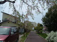  dscf0304.jpg 