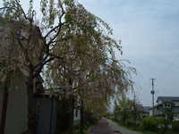  dscf0307.jpg 