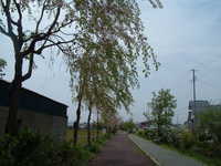 dscf0308.jpg 