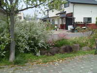  dscf0310.jpg 