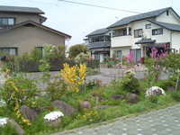  dscf0311.jpg 