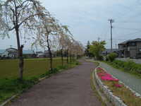  dscf0312.jpg 