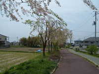  dscf0314.jpg 