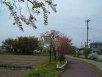  dscf0315.jpg 