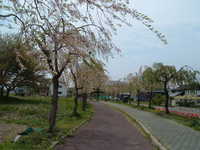  dscf0316.jpg 