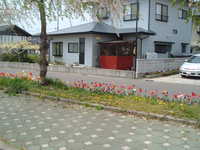  dscf0317.jpg 