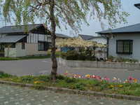  dscf0318.jpg 