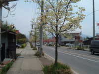  dscf0319.jpg 