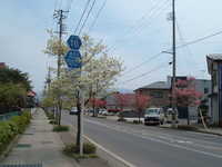  dscf0321.jpg 