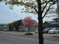  dscf0322.jpg 