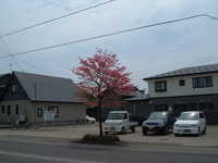  dscf0323.jpg 