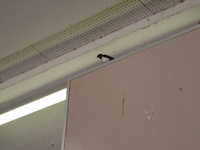  dscf0334.jpg 