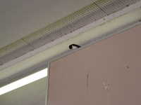  dscf0335.jpg 