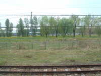  dscf0348.jpg 