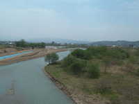  dscf0350.jpg 