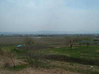  dscf0356.jpg 