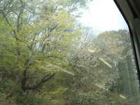  dscf0357.jpg 