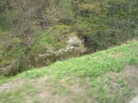  dscf0359.jpg 