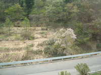  dscf0361.jpg 