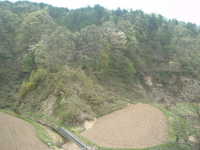  dscf0362.jpg 