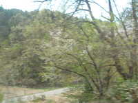  dscf0363.jpg 
