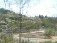  dscf0365.jpg 